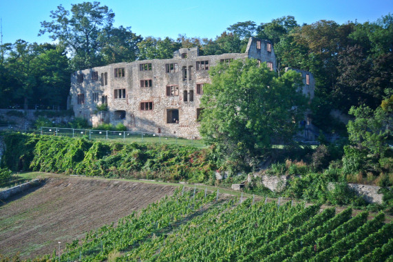 Burg Landskron (Oppenheim) Oppenheim