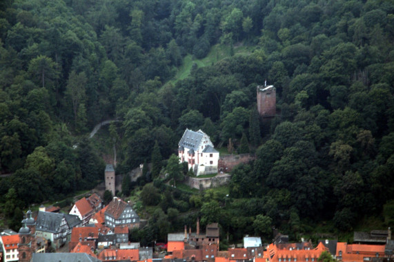 Mildenburg Miltenberg