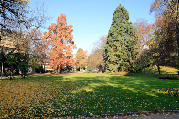 Rosenfelspark Lörrach