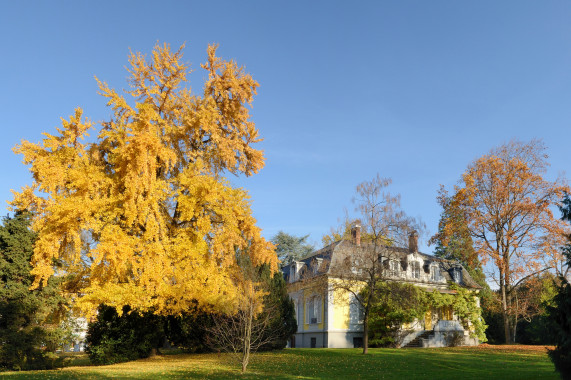 Aichelepark Lörrach