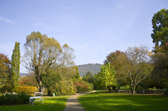 Alter Botanischer Garten Marburg