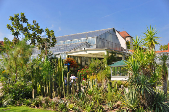 Botanischer Garten Erlangen Erlangen