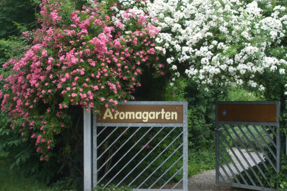 Aromagarten Erlangen Erlangen