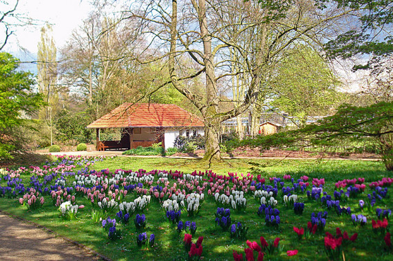 Stadtpark Gütersloh Gütersloh