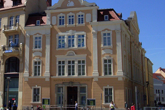 Senckenberg Museum für Naturkunde Görlitz Görlitz