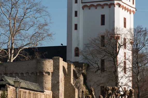 Burg Eltville Eltville am Rhein