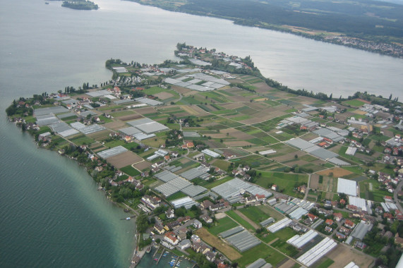 Reichenau Reichenau