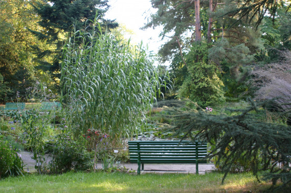 Botanischer Garten und Arboretum der Universität Greifswald Greifswald