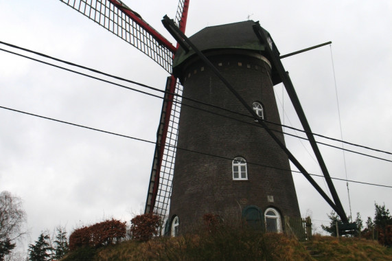 Salm-Salm Molen Hoogstraten