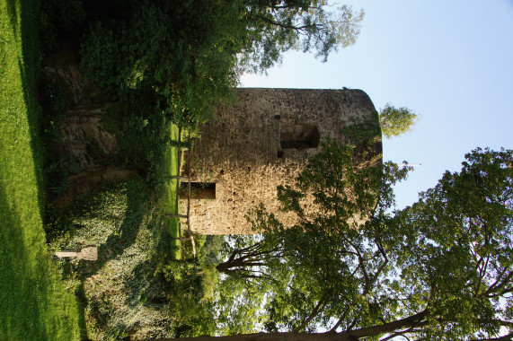 Burg Dattenberg Linz am Rhein