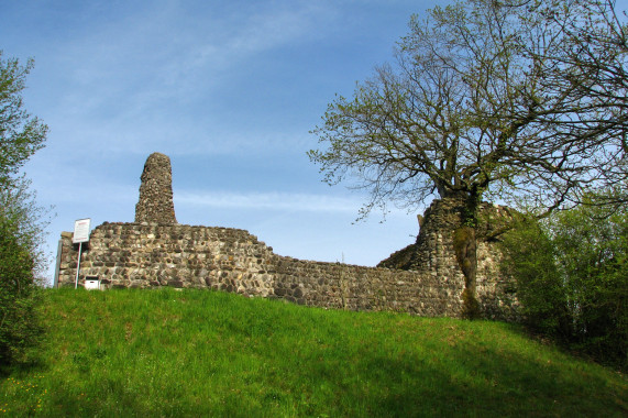 Ruine Alt-Regensberg Regensdorf