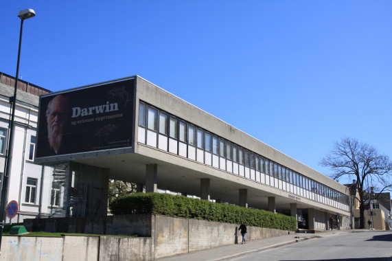 Museum Stavanger Stavanger