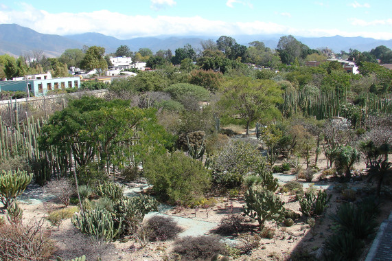 Jardín Etnobotánico de Oaxaca Oaxaca de Juárez