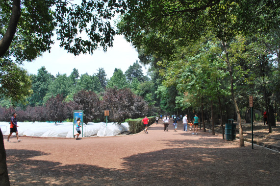 Viveros de Coyoacán Città del Messico