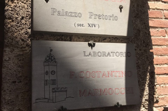 Museo di paleontologia Francesco Costantino Marmocchi Poggibonsi