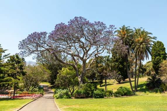 Royal Botanic Gardens City Centre